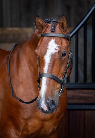 Velociti Rapida Hunter Cavesson Bridle