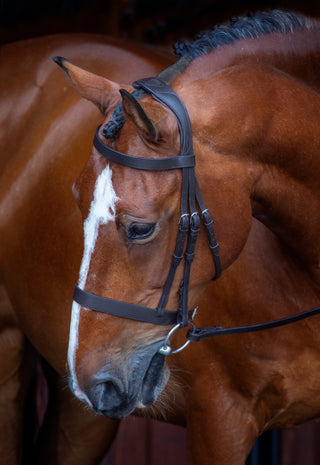 Velociti Rapida Hunter Cavesson Bridle