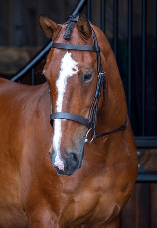 Velociti Rapida Hunter Cavesson Bridle