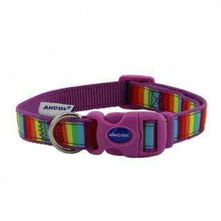 Soho Rainbow Collar