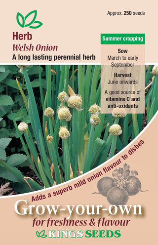 Kings Seeds Herb Welsh Onion