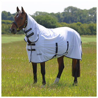 Tempest Original Fly Combo Rug
