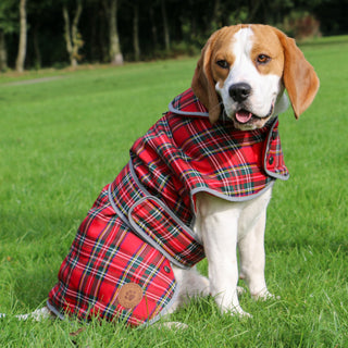 Ancol Highland Tartan Dog Coat