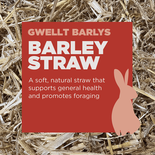 Gower Granary Small Animal Barley Straw Bagged