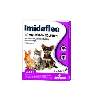 Chanelle Imidaflea Spot-On For Fleas and Biting Lice