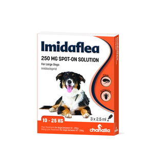 Chanelle Imidaflea Spot-On For Fleas and Biting Lice