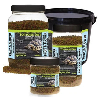 Komodo Tortoise Diet Fruit & Flower