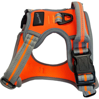 Hem & Boo Sports Harness