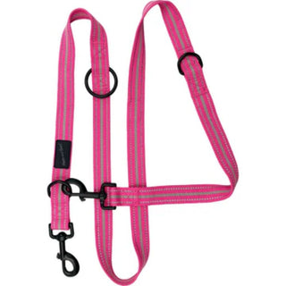 Hem & Boo Sports Training Lead - 2 Dogs