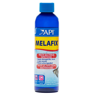 Api Melafix