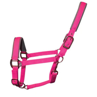 Woof Wear Contour Head Collar