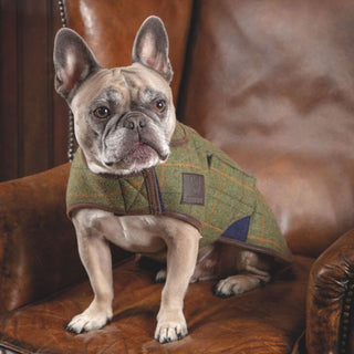 Digby & Fox Tweed Dog Coat