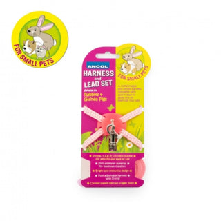 Ancol Rabbit And Guinea-Pig Harness Set
