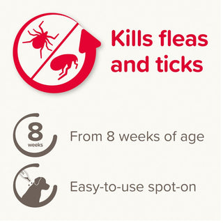 Beaphar FIPROtec® Spot-On for Small Dogs