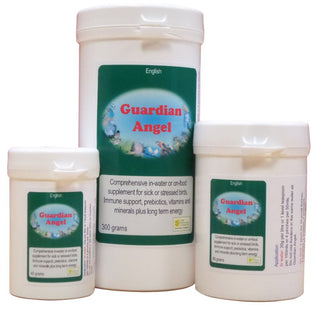Birdcare Company Guardian Angel