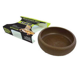 Komodo Mealworm Dish