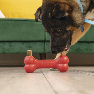 Kong Ziggies Enchanced