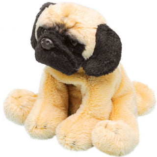 Suki Bear Small Pug