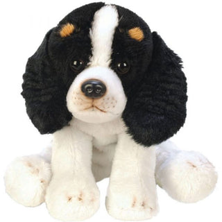Suki Bear Small King Charles Spaniel