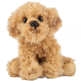 Suki Bear Small Sitting Labradoodle