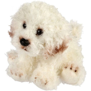 Suki Bear Bichon Frise