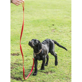 Mikki Recall Training Lead