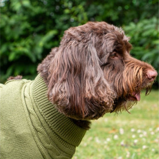 Cable Knit Jumper