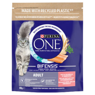 Purina One Salmon Dry Cat Food