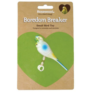 Rosewood Parakeet On Spring