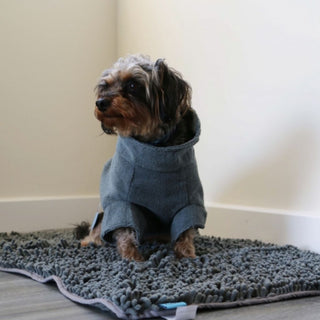 Simply Dry Dog Mat
