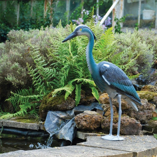 Heron
