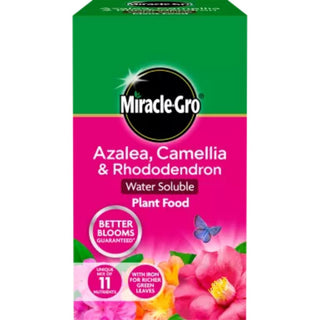 Miracle-Gro Azelea Camelia & Rhododendron Soluable Food