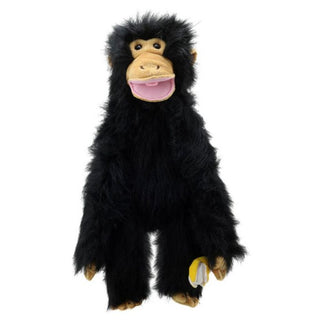 Medium Primates Chimp