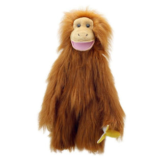 Medium Primates Orangutan