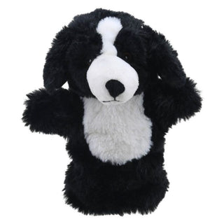 Eco Buddies Border Collie
