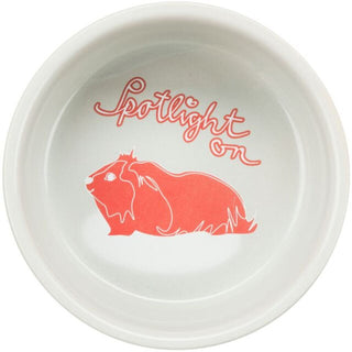 Spotlight Comic Guinea Pig Bowl