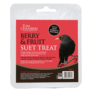 Suet Treat - Berry Nice