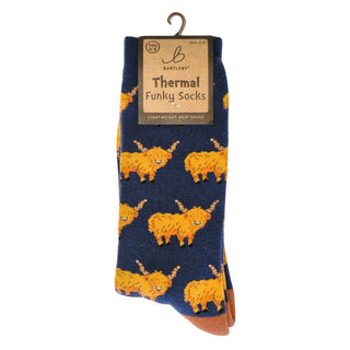 Bartleby Funky Thermal Socks - Hardy Highlands, Size 6-11