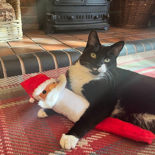 Scott Santa Kicker