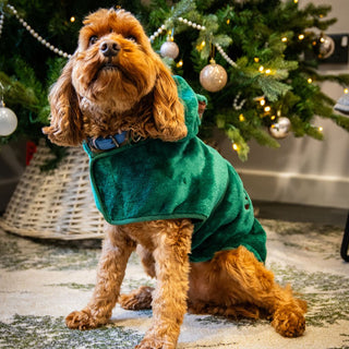 Teddy Bear Drying Coat