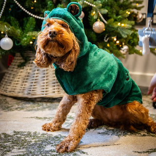 Teddy Bear Drying Coat