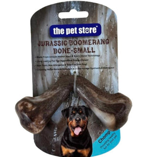 Jurassic Boomerang Bone