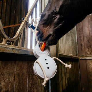 Stable Toy - Snowman