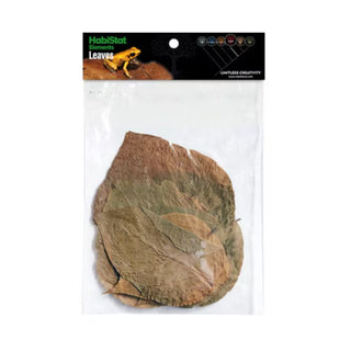 Habistat Dadap Leaves
