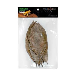 Habistat Rubber Leaves