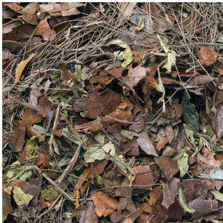 Habistat Leaf Litter Mulch