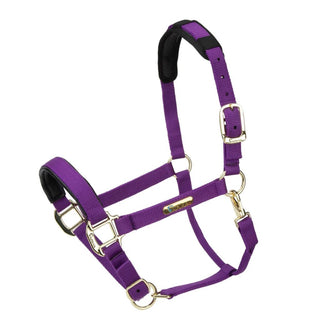 Shires Topaz Nylon Headcollar Purple