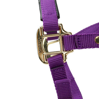 Shires Topaz Nylon Headcollar Purple