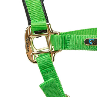 Shires Topaz Nylon Headcollar Green