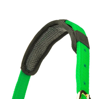 Shires Topaz Nylon Headcollar Green